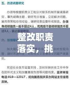 整改职责落实,挑战与重要性解析