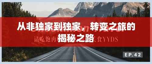 从非独家到独家,转变之旅的揭秘之路