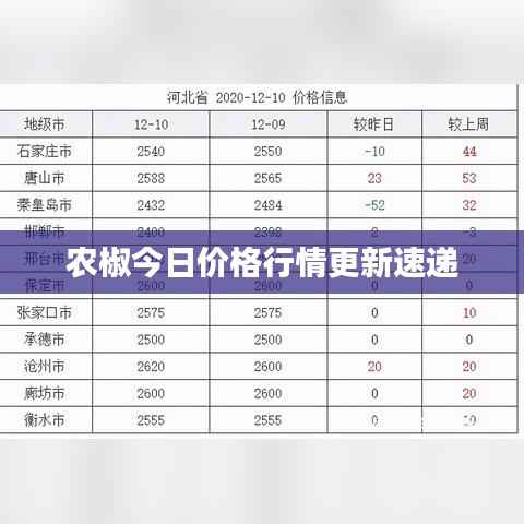 农椒今日价格行情更新速递