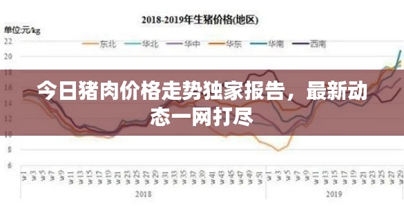 今日猪肉价格走势独家报告,最新动态一网打尽