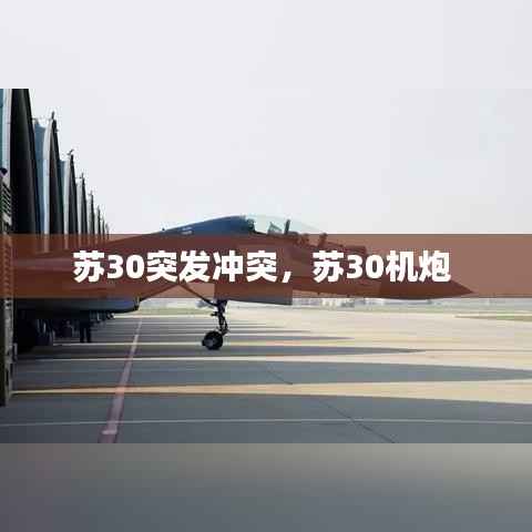 苏30突发冲突,苏30机炮
