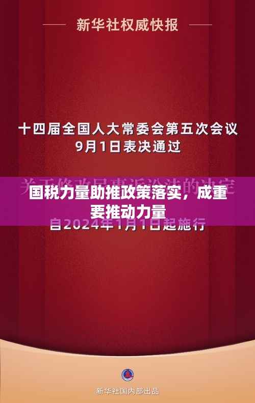 国税力量助推政策落实，成重要推动力量