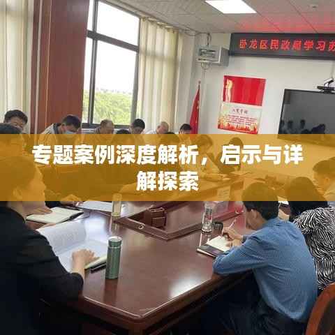 专题案例深度解析,启示与详解探索