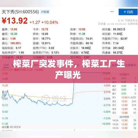 榨菜厂突发事件,榨菜工厂生产曝光