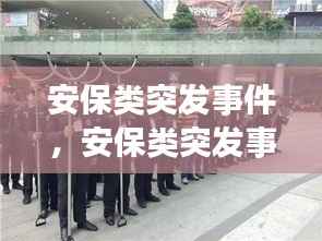 安保类突发事件,安保类突发事件那些