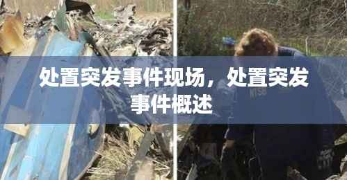 处置突发事件现场,处置突发事件概述