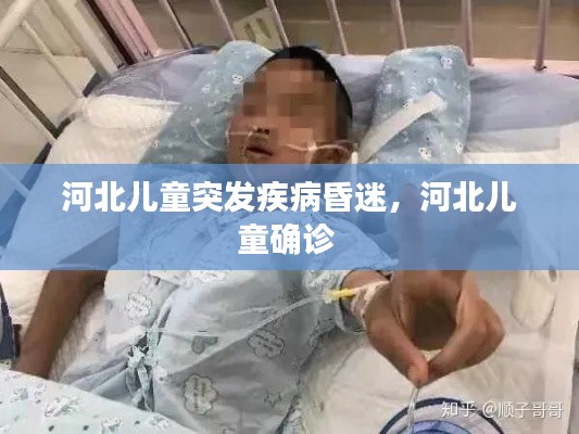 河北儿童突发疾病昏迷,河北儿童确诊