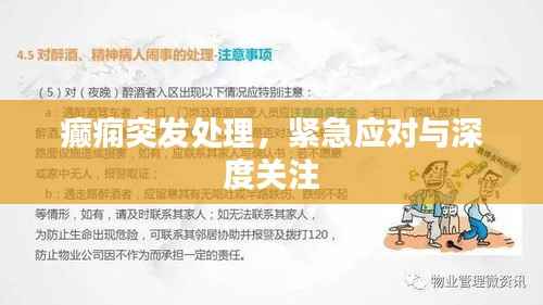 癫痫突发处理,紧急应对与深度关注