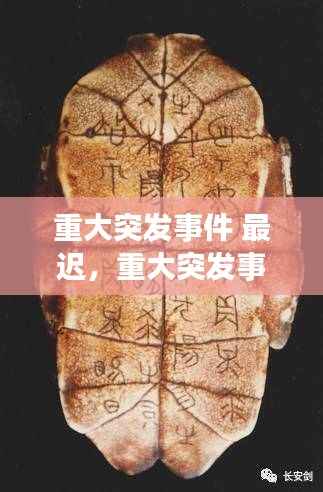 重大突发事件 最迟,重大突发事件最迟要在多少小时内发布权威信息