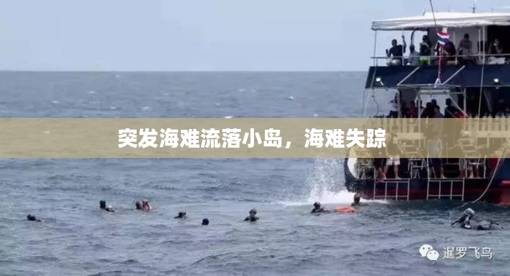 突发海难流落小岛,海难失踪