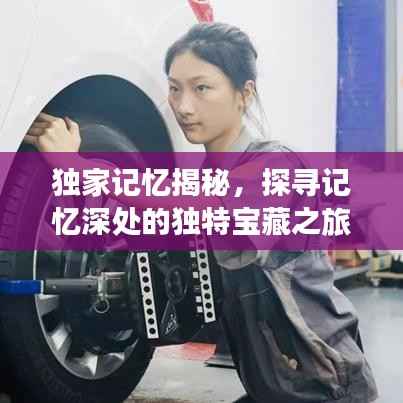 独家记忆揭秘,探寻记忆深处的独特宝藏之旅