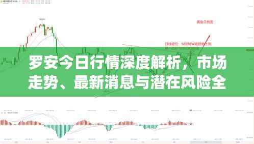 罗安今日行情深度解析,市场走势、最新消息与潜在风险全揭秘