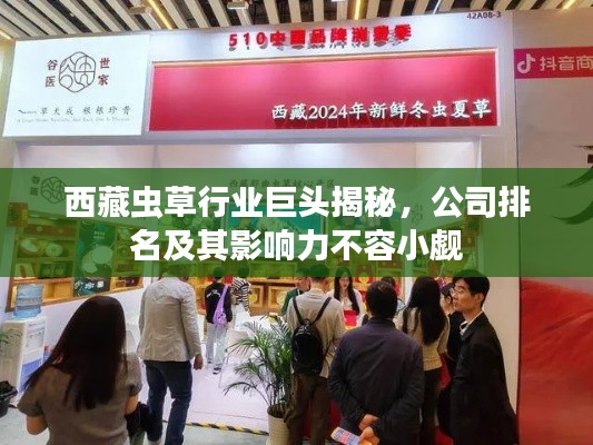 西藏虫草行业巨头揭秘,公司排名及其影响力不容小觑