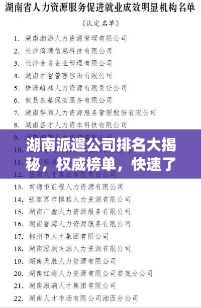 湖南派遣公司排名大揭秘,权威榜单,快速了解优质服务企业!