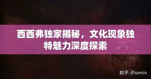 西西弗独家揭秘,文化现象独特魅力深度探索