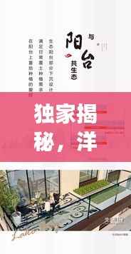 独家揭秘,洋房今日盛大开盘,最新消息一网打尽,市场洞察助你洞悉先机!