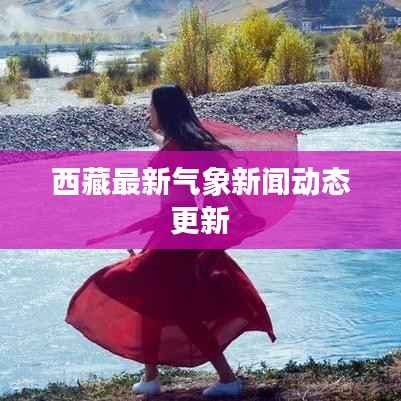 明目张胆 第2页