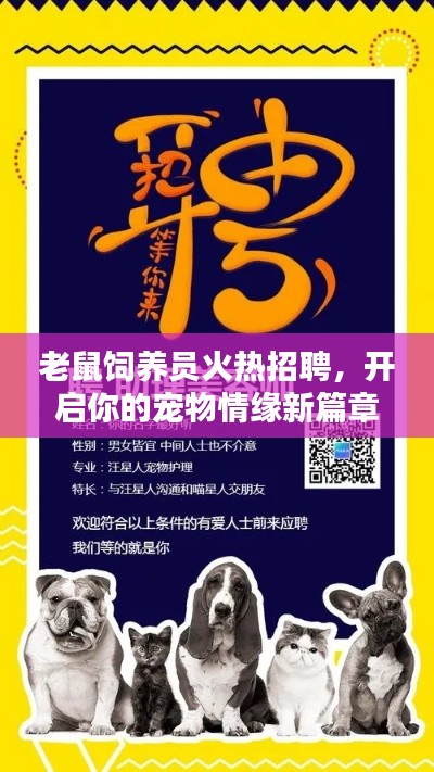 老鼠饲养员火热招聘,开启你的宠物情缘新篇章!