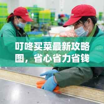 叮咚买菜最新攻略图,省心省力省钱购物技巧轻松掌握!