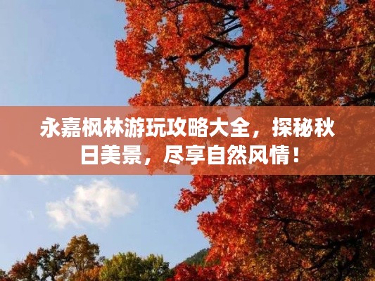 永嘉枫林游玩攻略大全,探秘秋日美景,尽享自然风情!