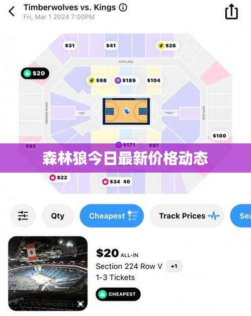 森林狼今日最新价格动态