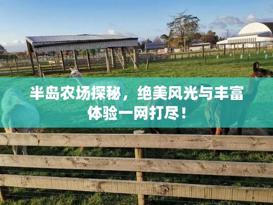 半岛农场探秘,绝美风光与丰富体验一网打尽!