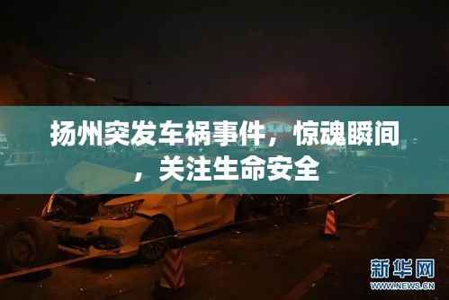 尽心竭力 第3页