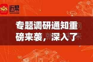 专题调研通知重磅来袭,深入了解、精准执行,共创辉煌!