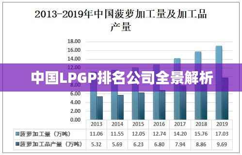 中国LPGP排名公司全景解析