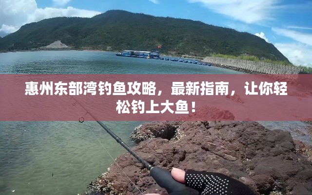 惠州东部湾钓鱼攻略,最新指南,让你轻松钓上大鱼!
