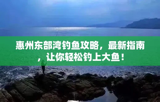 惠州东部湾钓鱼攻略,最新指南,让你轻松钓上大鱼!