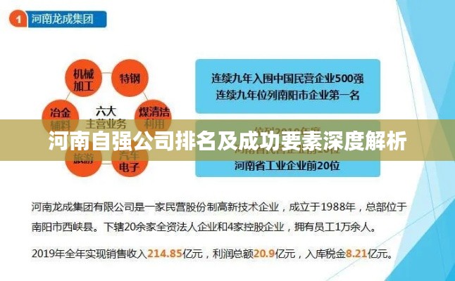河南自强公司排名及成功要素深度解析
