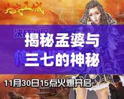 揭秘孟婆与三七的神秘传说,百度搜索带你探寻千年传说故事