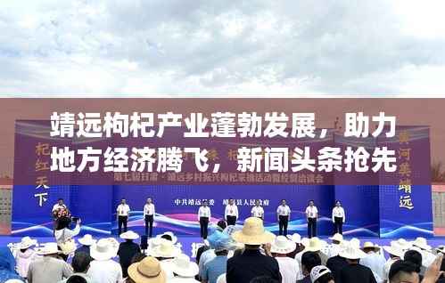 靖远枸杞产业蓬勃发展,助力地方经济腾飞,新闻头条抢先看!