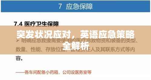 突发状况应对,英语应急策略全解析