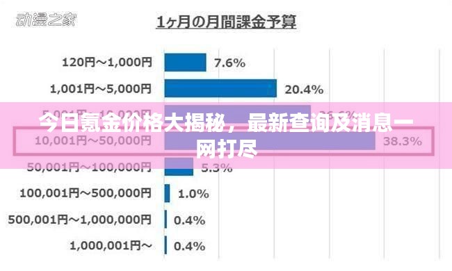 今日氪金价格大揭秘,最新查询及消息一网打尽