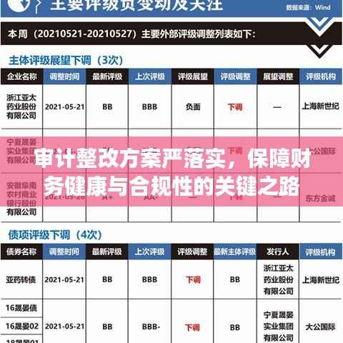 审计整改方案严落实,保障财务健康与合规性的关键之路