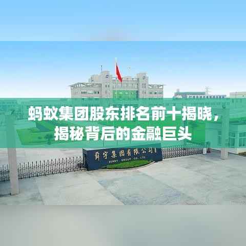 蚂蚁集团股东排名前十揭晓,揭秘背后的金融巨头