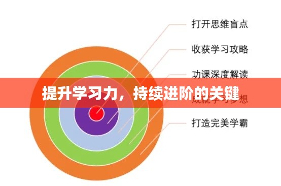 提升学习力,持续进阶的关键