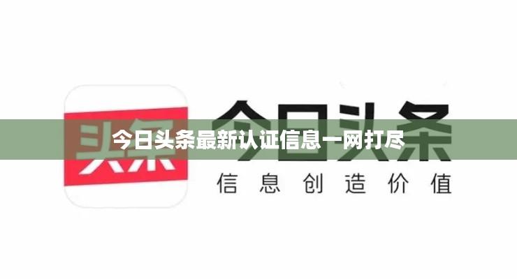 今日头条最新认证信息一网打尽