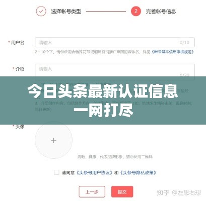 今日头条最新认证信息一网打尽