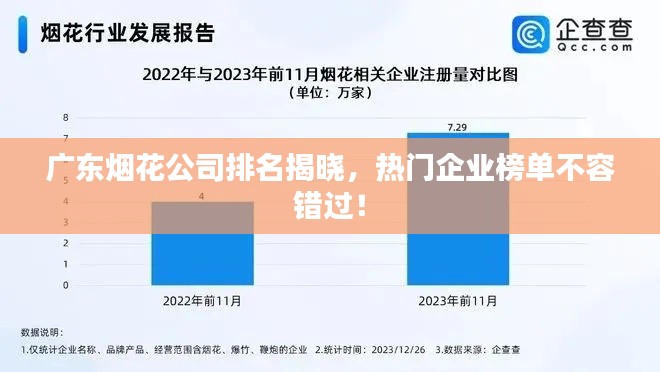 夫贵妻荣 第3页