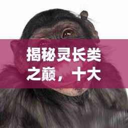 七嘴八张 第2页