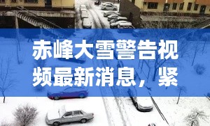 赤峰大雪警告视频最新消息,紧急应对恶劣天气!
