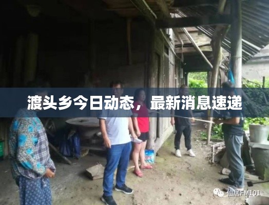 渡头乡今日动态,最新消息速递