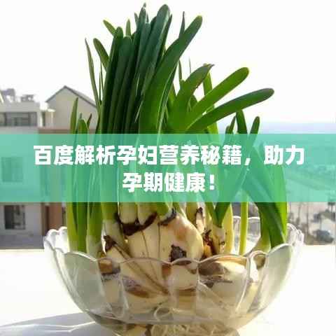 百度解析孕妇营养秘籍,助力孕期健康!