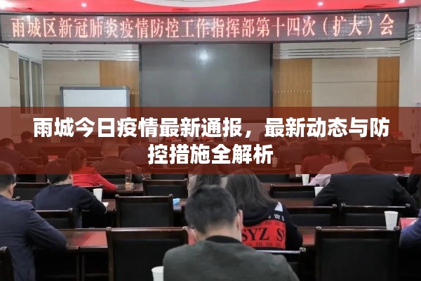 雨城今日疫情最新通报，最新动态与防控措施全解析