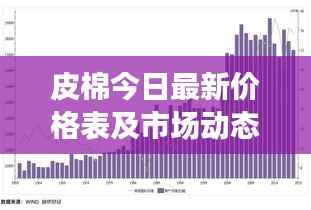皮棉今日最新价格表及市场动态深度解析