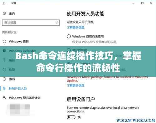Bash命令连续操作技巧,掌握命令行操作的流畅性