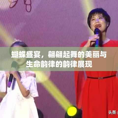 蝴蝶盛宴,翩翩起舞的美丽与生命韵律的韵律展现